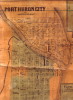 1859-SC-CITY-Port_Huron-_n.e.section_.JPG